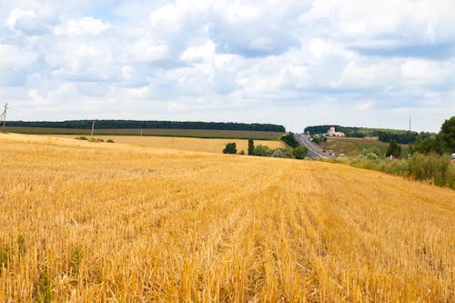 Kostnadsfri bild av åkermark, gata, jordbruksmark