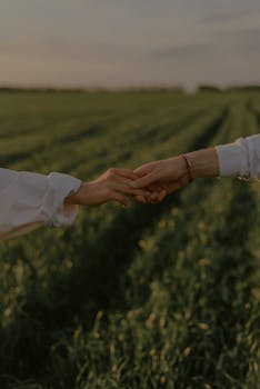 Two people holding hands in a serene field at sunset, symbolizing love and connection.