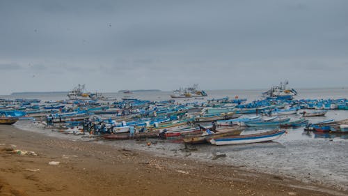 Free stock photo of barcas, puerto pesquero
