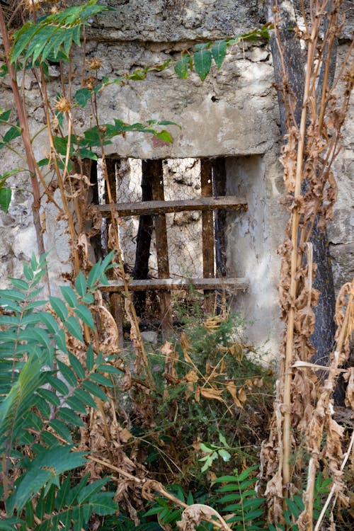 Free stock photo of ruinas, ventana