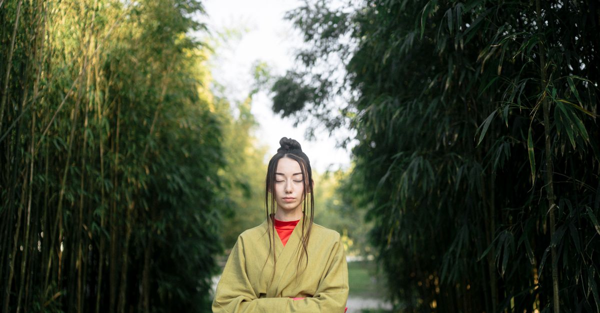 Jardin japonais Toulouse : Guide visite et horaires