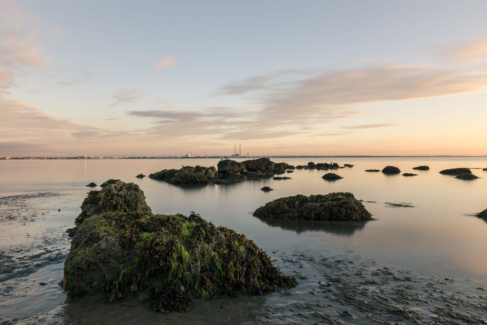 Seaweed-covered rocks on the Dublin Bay shore at dusk