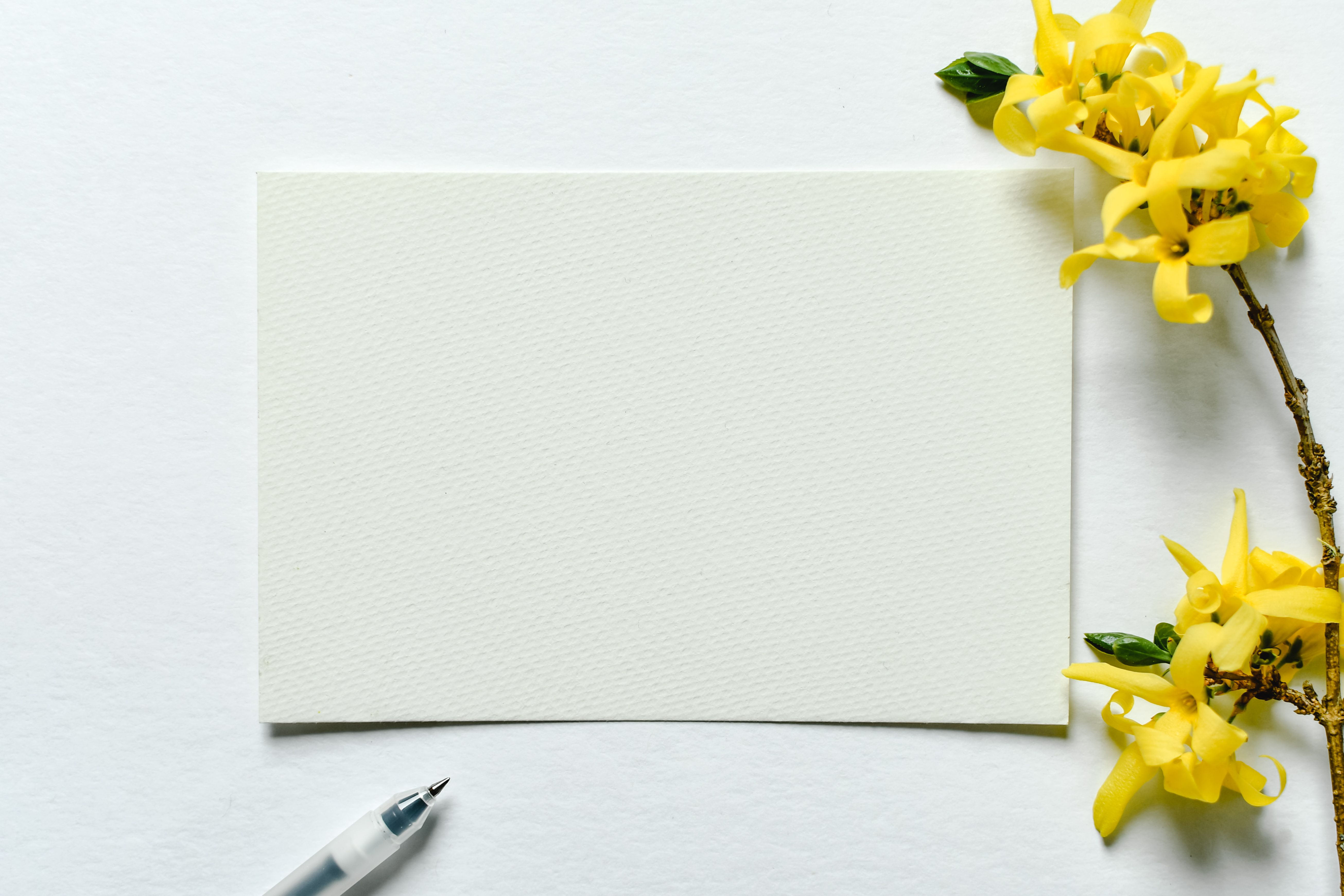 Beautiful Writing Paper Photos, Download The BEST Free Beautiful ...