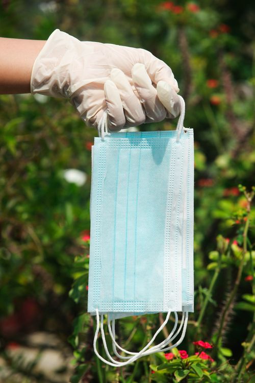 Free A hand in gloves holding blue face masks amidst garden greenery outdoors. Stock Photo