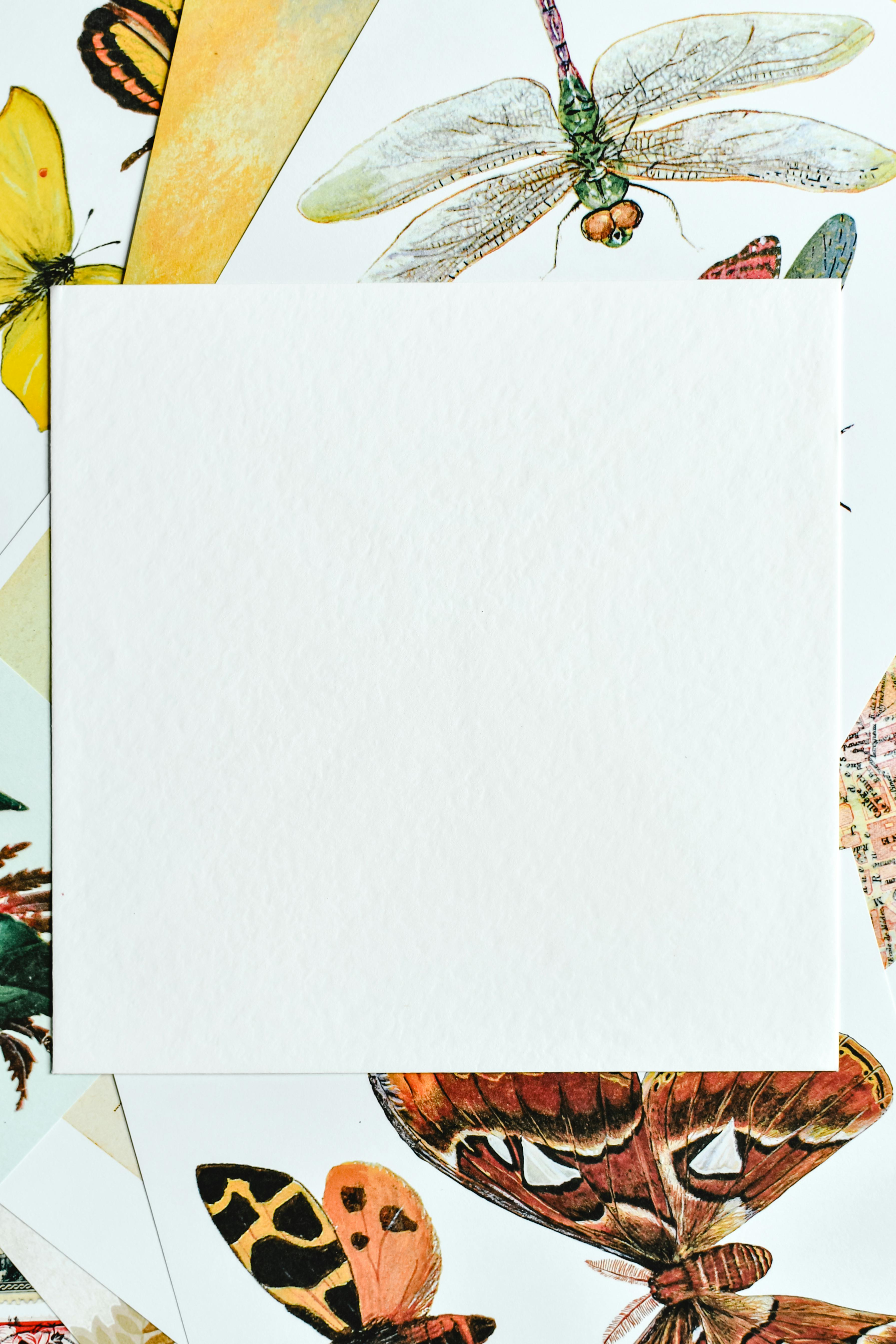 a blank white paper