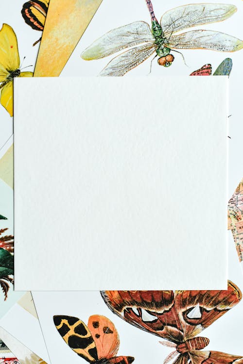 Free A Blank White Paper Stock Photo