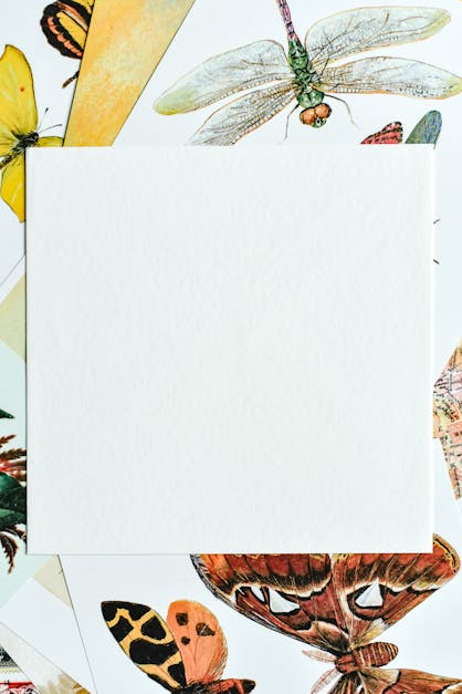 Những tờ giấy trắng ngày nay đã không còn đơn thuần là những vật dụng để viết hay in ấn nữa. Chúng có thể trở thành tác phẩm nghệ thuật, biểu hiện cho sự sáng tạo và tinh thần của người sở hữu. Hãy ngắm bức ảnh này để cảm nhận sự đơn giản nhưng đầy màu sắc của giấy trắng.