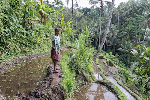 Kostenloses Stock Foto zu bali, dschungel, frau