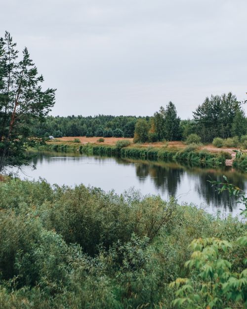 Free Tranquil river surrounded by lush greenery and trees in a peaceful countryside setting. Stock Photo