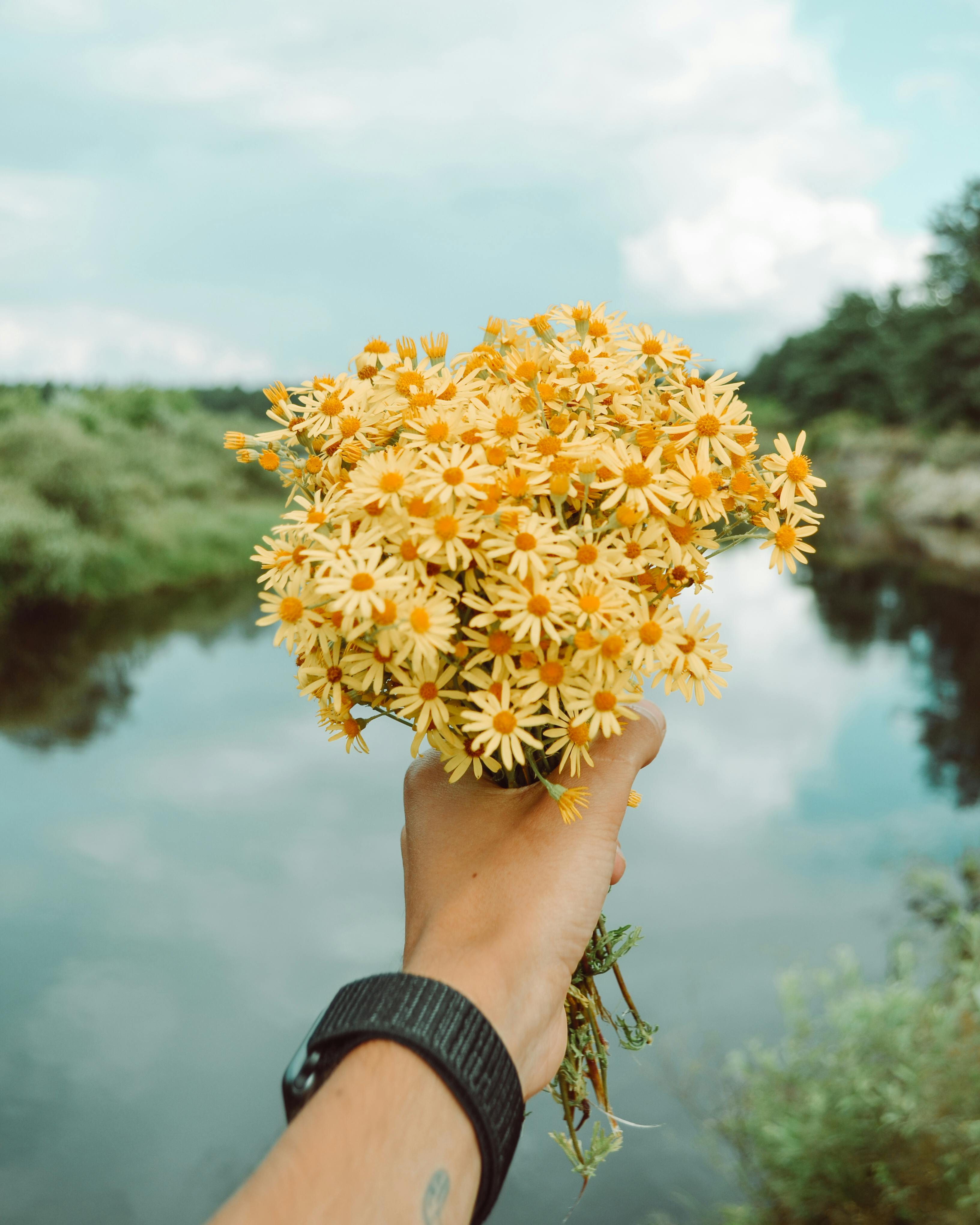 A Person Holding Yellow Flower Bouquet · Free Stock Photo, image size:3264x4080