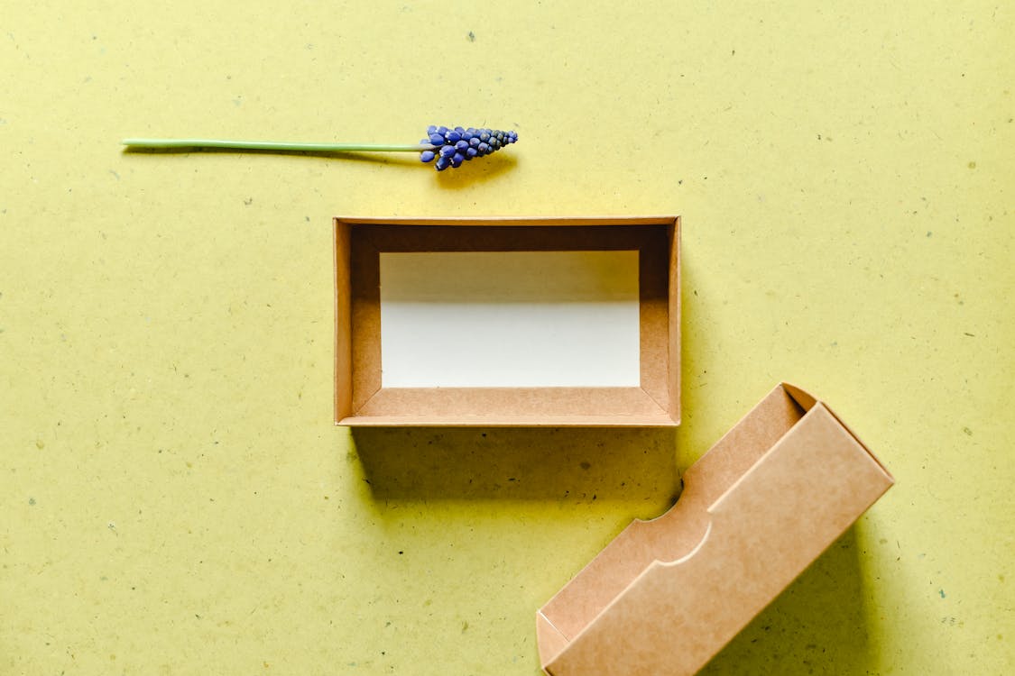 Free Photo of an Empty Box Near a Muscari Flower Stock Photo