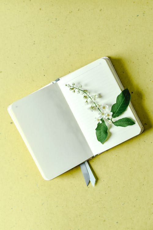 Kostnadsfri bild av anteckningsbok, gröna löv, gul bakgrund