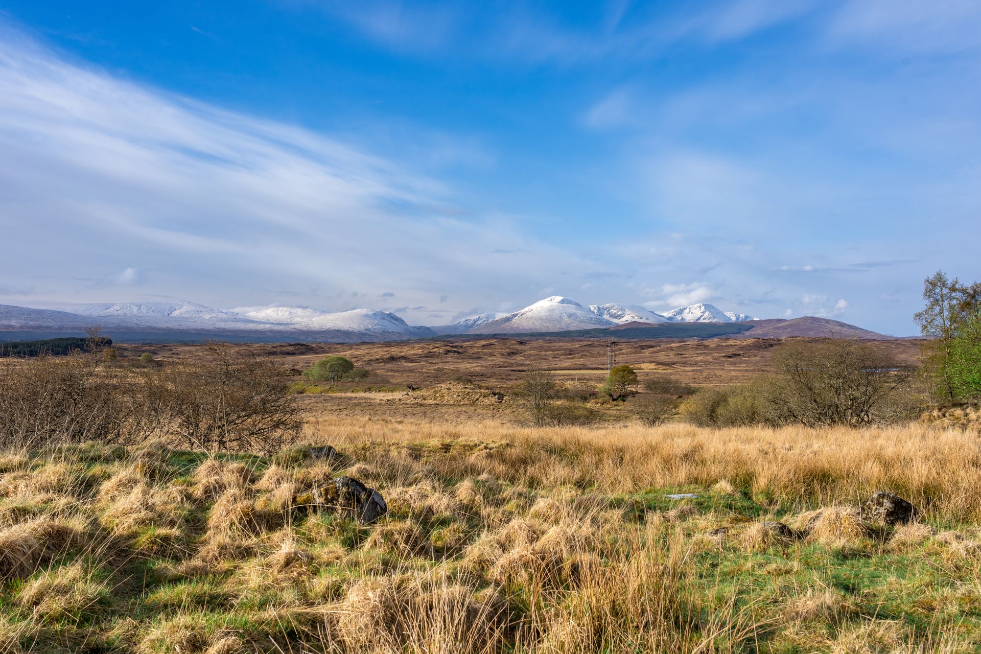 Landscape Photography of Grassland Under Blue Sky