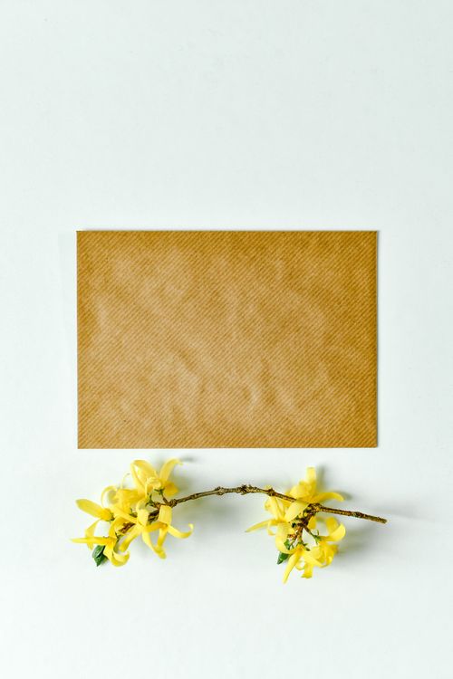 Free Brown envelope with vibrant yellow flowers on a white background. Stock Photo
