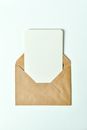 A Piece of Paper in a Brown Envelope