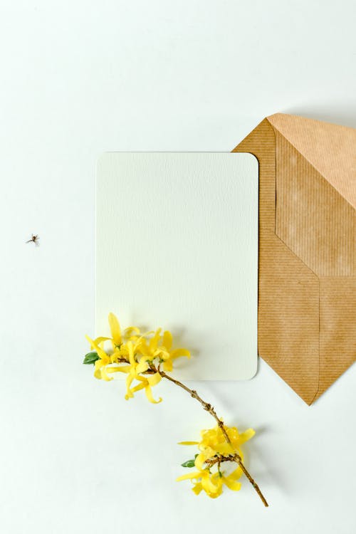 Photograph of Yellow Flowers and a Piece of Paper Near an Envelope