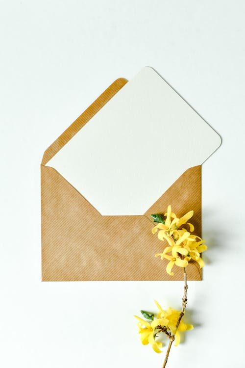 Photo of Yellow Flowers Near an Envelope with a Piece of Paper