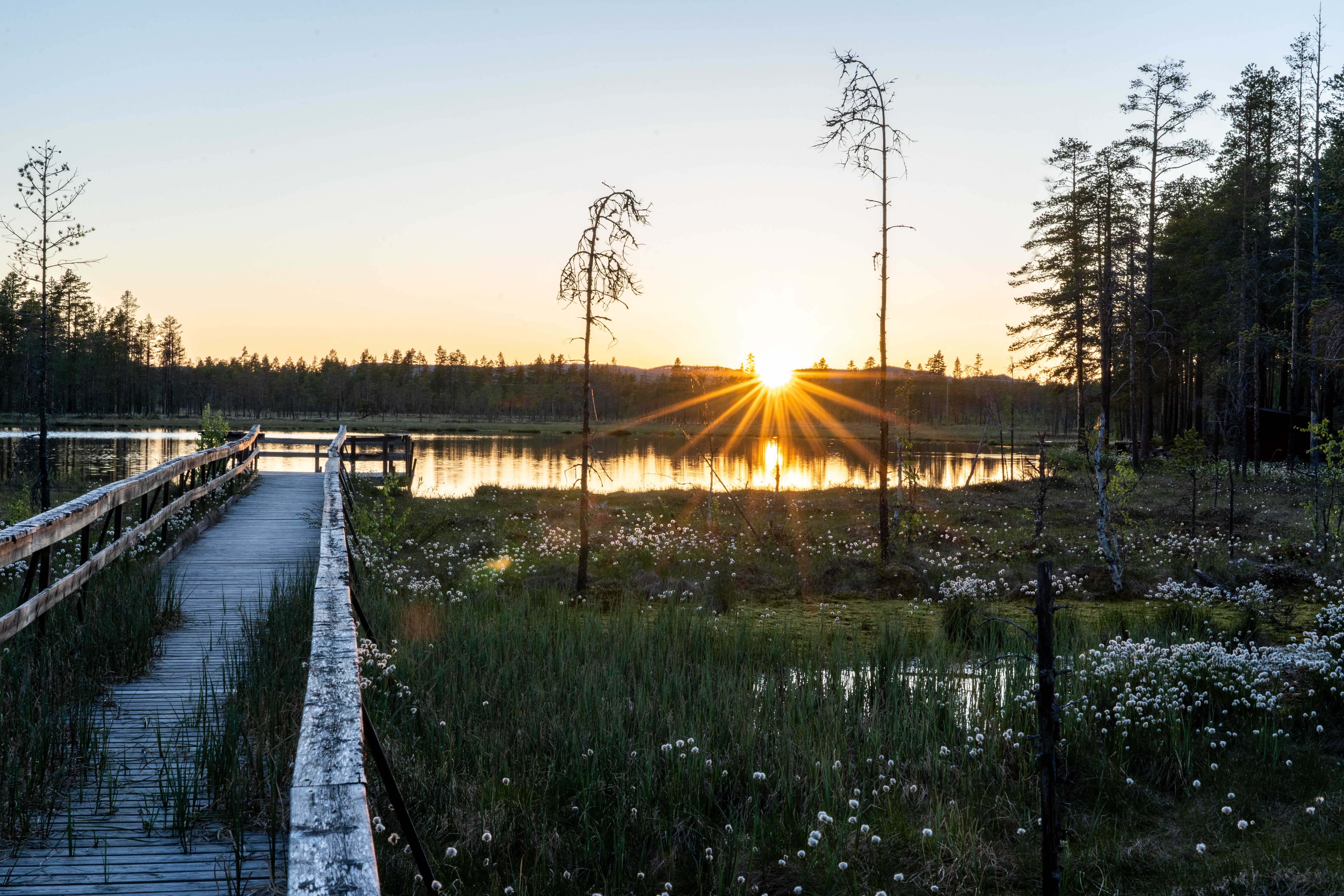 8 Day Wellness Yoga Holiday in Sweden 2