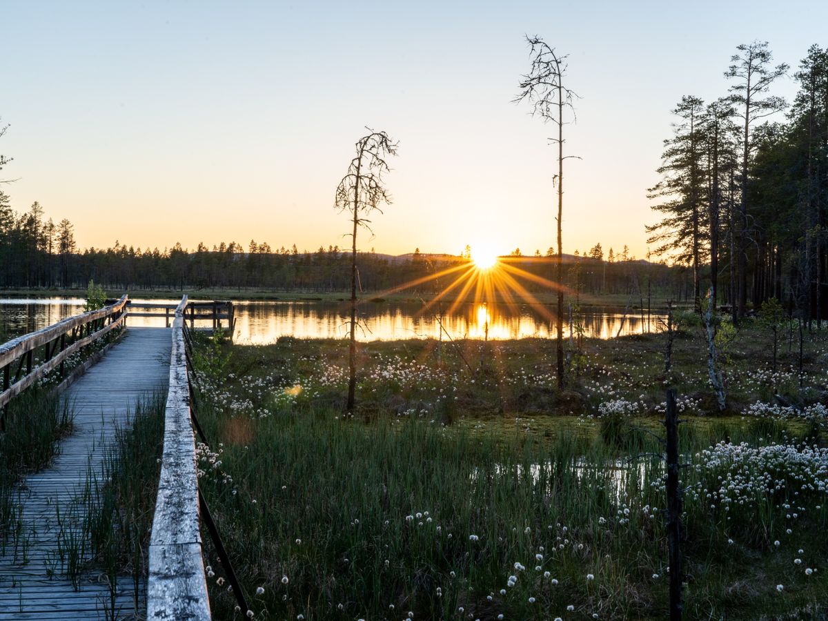 8 Day Wellness Yoga Holiday in Sweden 2