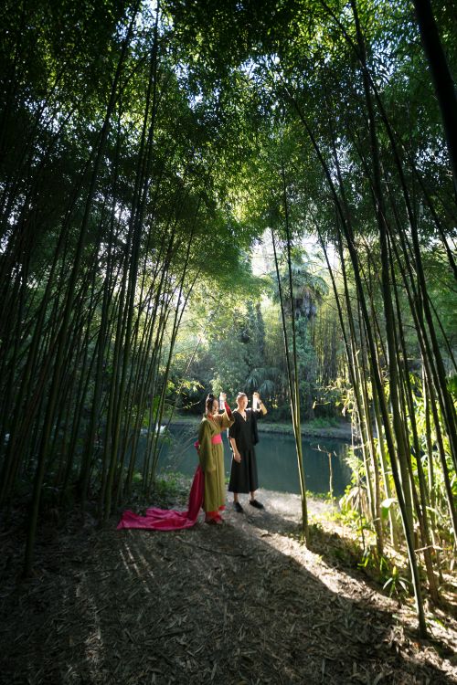 Free Delightful couple dressed in traditional attire amid a serene Japanese bamboo forest, showcasing cultural elegance. Stock Photo