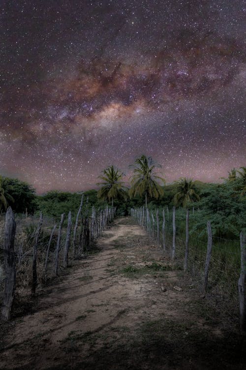 Unpaved Pathway under Starry Sky 
