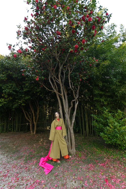 Kostnadsfri bild av asiatisk kvinna, blommande träd, dans