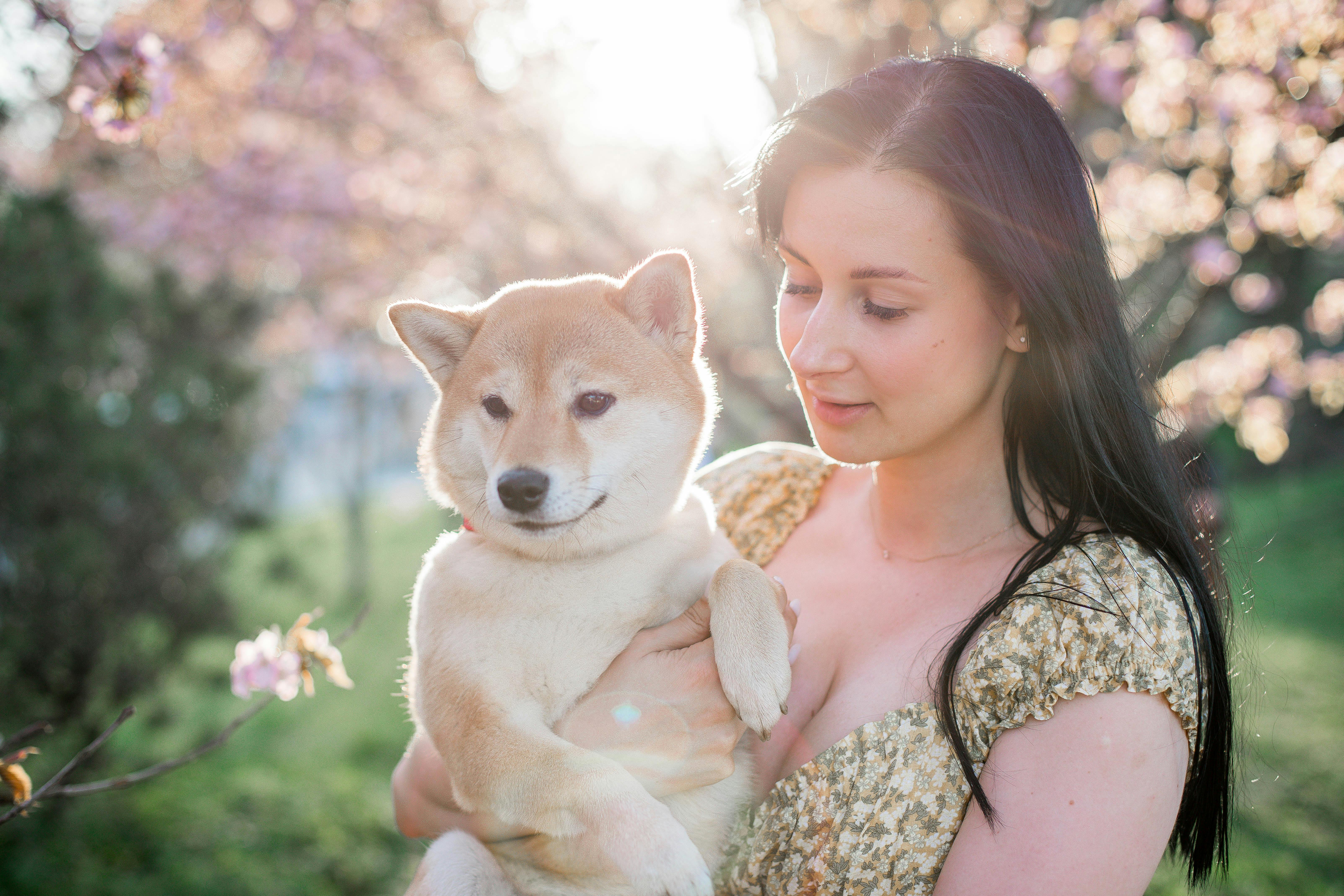 Woman with Shiba Inu in park