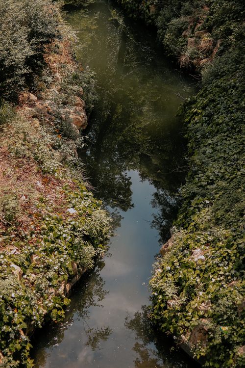 Free A serene canal surrounded by lush greenery with reflections on the water surface. Stock Photo