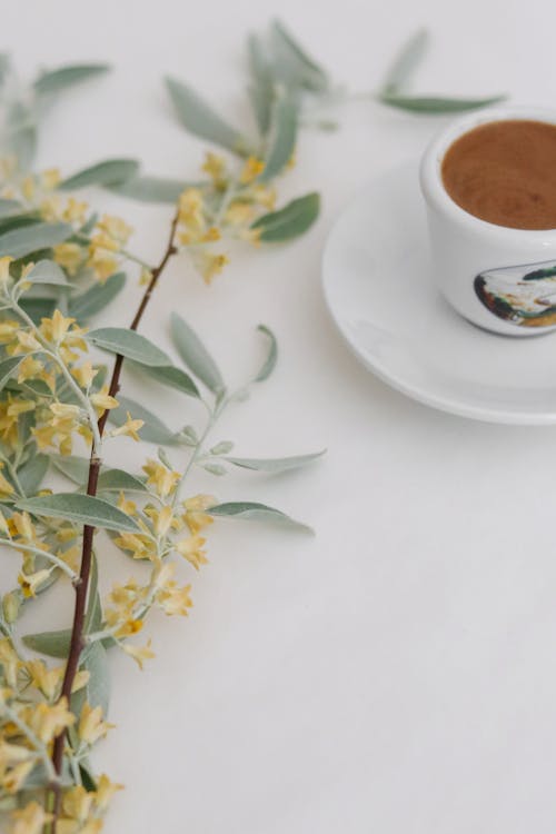 Free Cup of coffee and tree branch on table Stock Photo