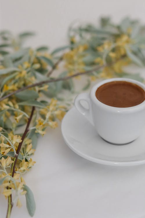 Free From above composition of white cup of espresso coffee on saucer near branches of tree with yellow flowers with leaves placed on white surface Stock Photo