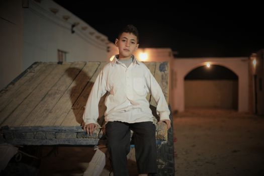 Portrait of Boy Sitting on Wood Kennel Outdoors