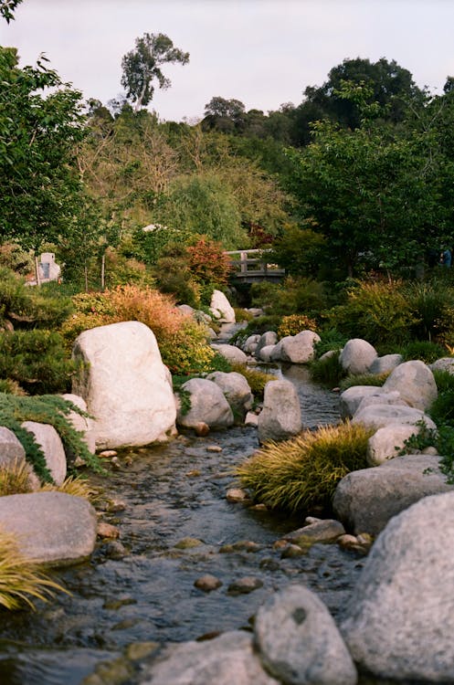 Creeks with Big Rocks