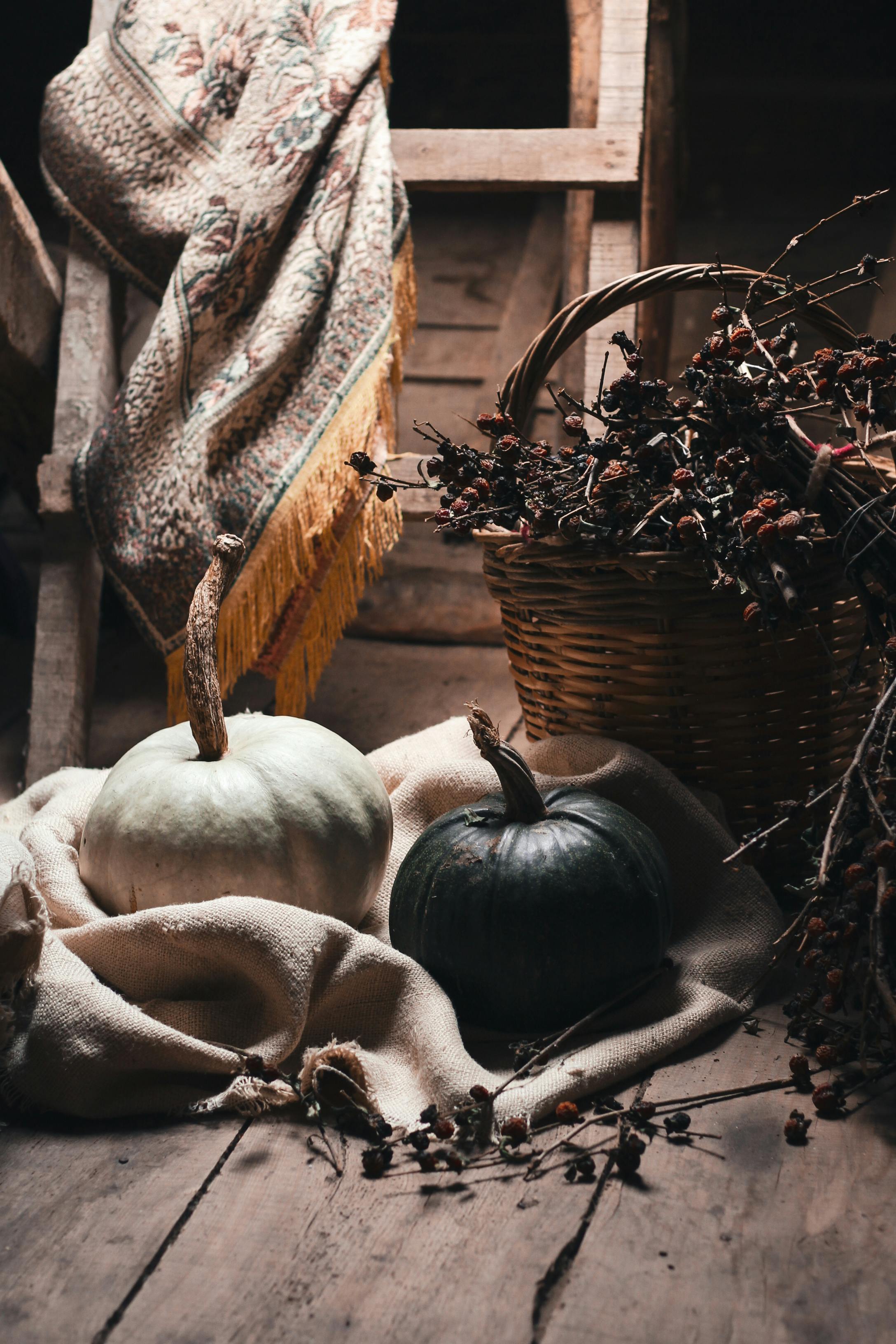 Black and white pumpkins on textile near wicker basket with dried plants on wooden floor in light room