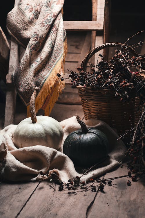 Black and white pumpkins on textile near wicker basket with dried plants on wooden floor in light room