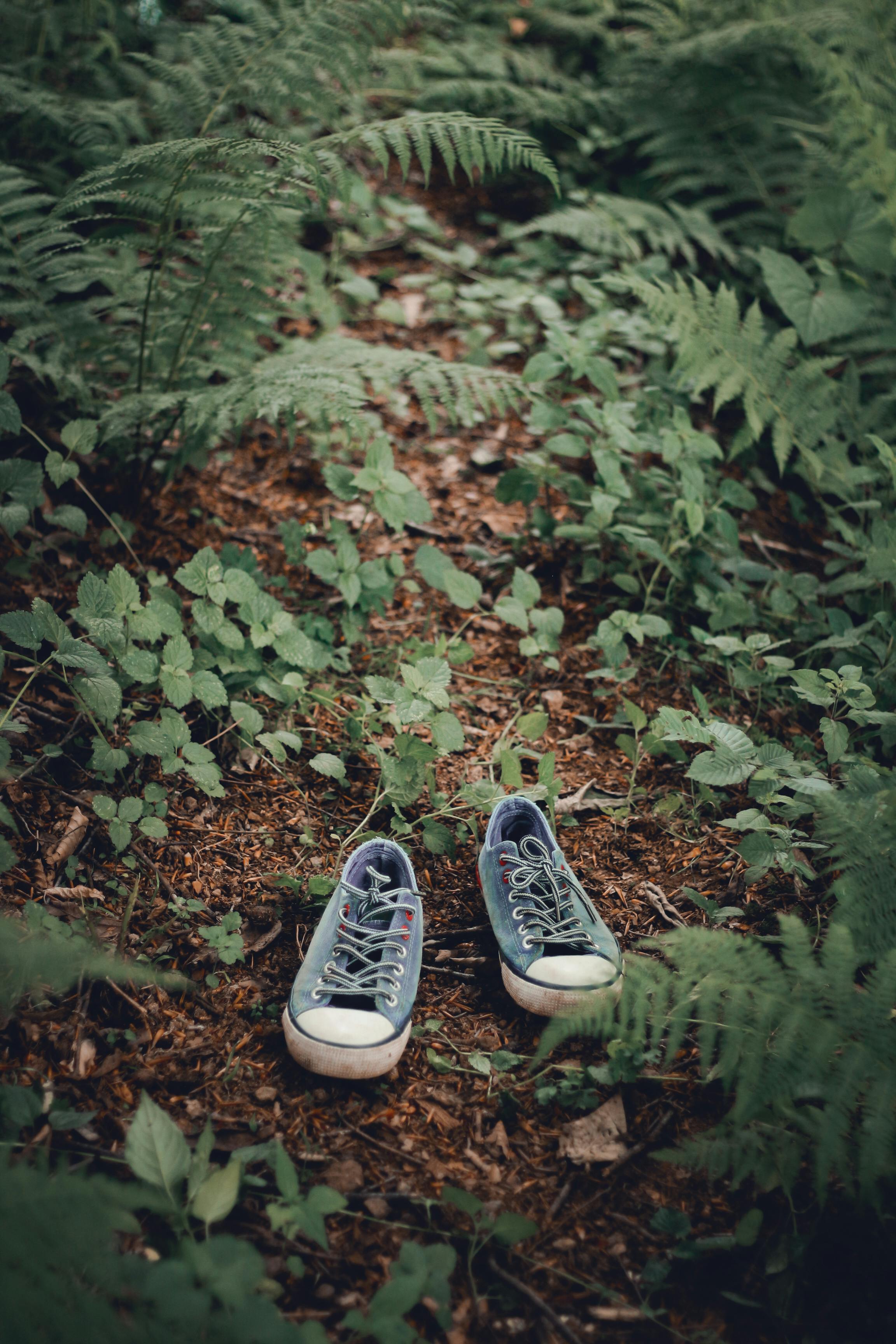 From above of running shoes with laces placed on ground in green forest in summer