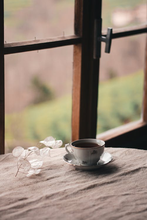 Základová fotografie zdarma na téma aroma, atmosféra, čaj