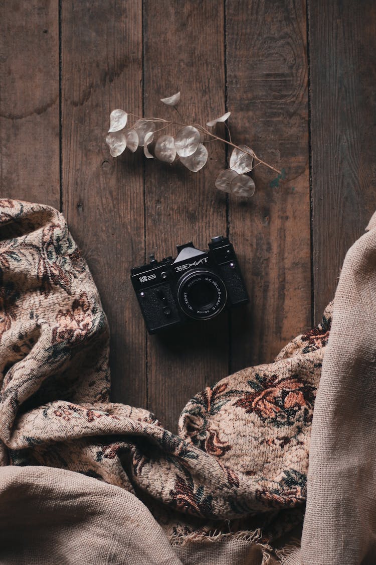 Vintage Camera On Wooden Floor Near Blanket And Lunaria