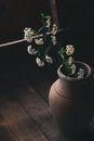 Blooming twig in clay vase on floor
