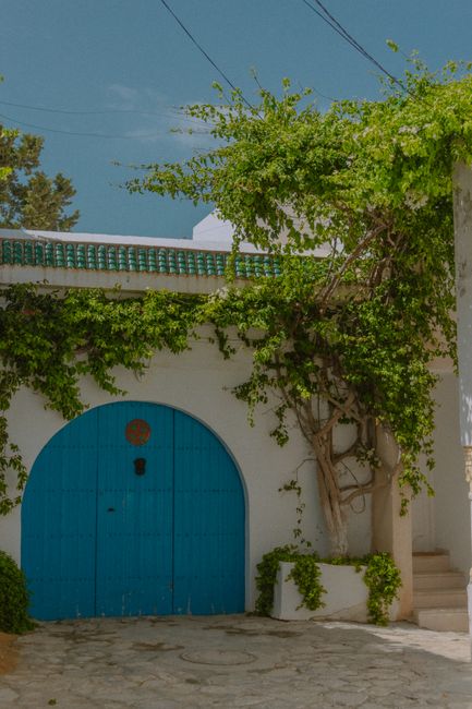 Picturesque blue arched doorway surrounded by lush vines, offering a serene and architectural charm.