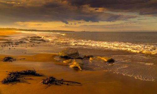 Free A stunning beach at sunset with waves crashing and dramatic clouds in a golden hue. Stock Photo