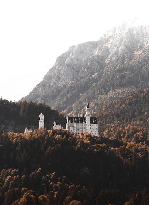 Free Castle Surrounded by Green Trees Near Mountain  Stock Photo
