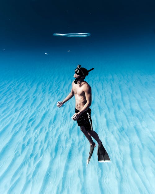 Free Unrecognizable man snorkeling in azure seawater Stock Photo