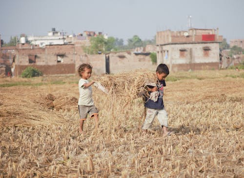 Boy Planting Rice Seeds · Free Stock Photo