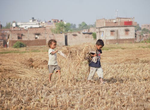 Children Carrying Hay in Field
