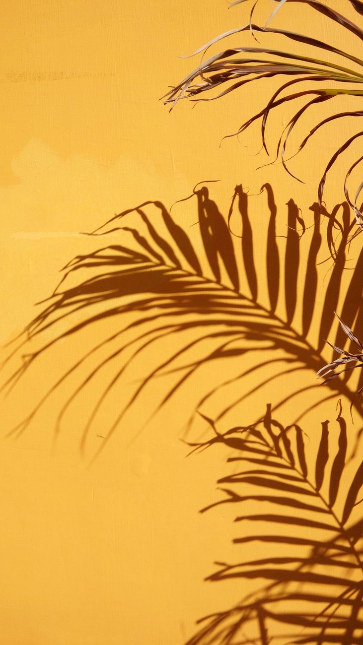 Close-up of palm leaf shadows casting patterns on a bright yellow surface, creating a striking visual contrast.