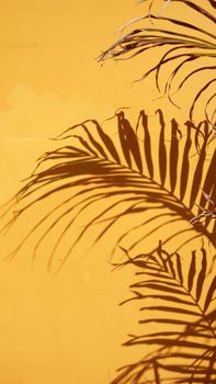Close-up of palm leaf shadows casting patterns on a bright yellow surface, creating a striking visual contrast.