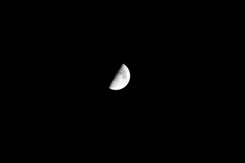 Free A detailed photo of a half moon set against a stark dark night sky. Stock Photo