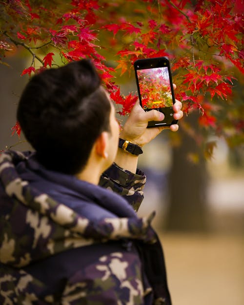A Man Taking Picture of Leaves 