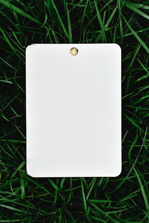 A White Blank Page on the Grass