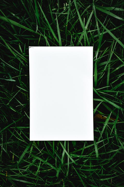 A White Blank Paper on the Grass